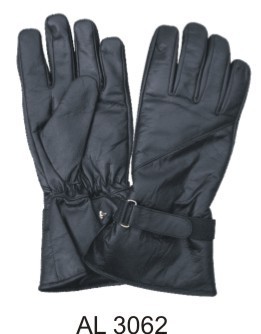 Riding/Padded Gloves