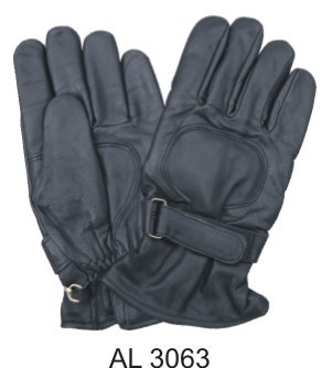 Riding/Padded Gloves