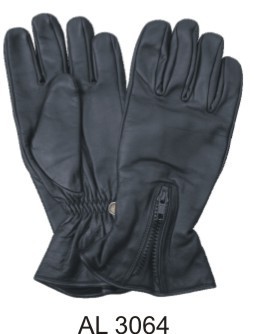 Riding/Padded Gloves