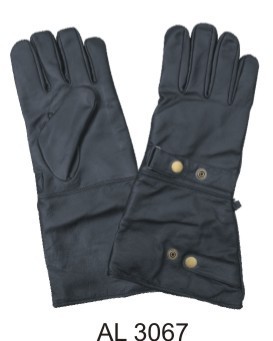 Riding/Padded Gloves